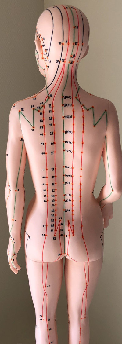 Akupunkturpunkte am Körper
